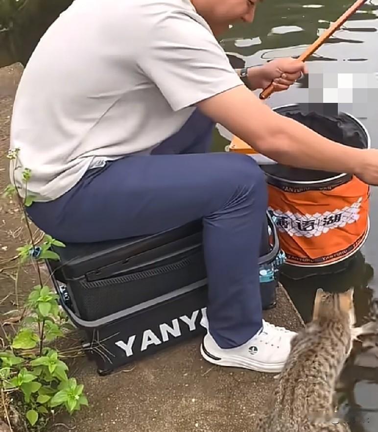 近日，浙江，一男子在河边刚钓到鱼就被旁边蹲守的猫咪“截胡”，只见猫咪叼着鱼跑，男