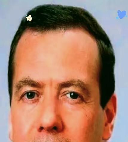 梅德韦杰夫一嗓子，把一个天大的秘密给捅了出来。他当着全世界的面，几乎是贴着镜头承