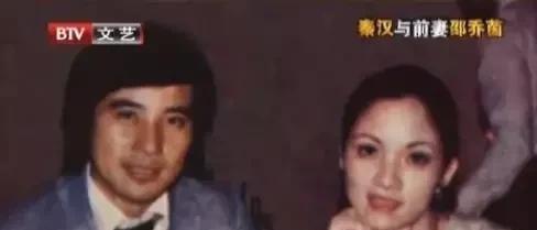 1973年，26岁已婚的秦汉爱上了18岁的林青霞，怀孕8个月的妻子邵乔茵心痛不已