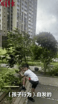 “笑不活了！”四川泸州，爸爸正在午睡，突然听到院子里儿子喊他，且声音很焦急，他以