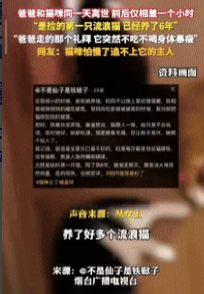 “解释不清了！”山东一老人因病去世后，家里收养6年的流浪猫也跟着走了，前后仅差1