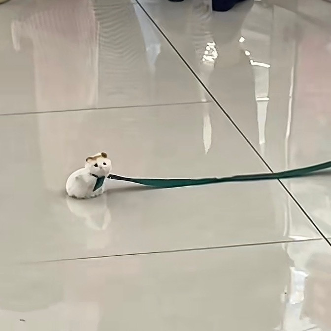 这小宠物可能还没绳子重