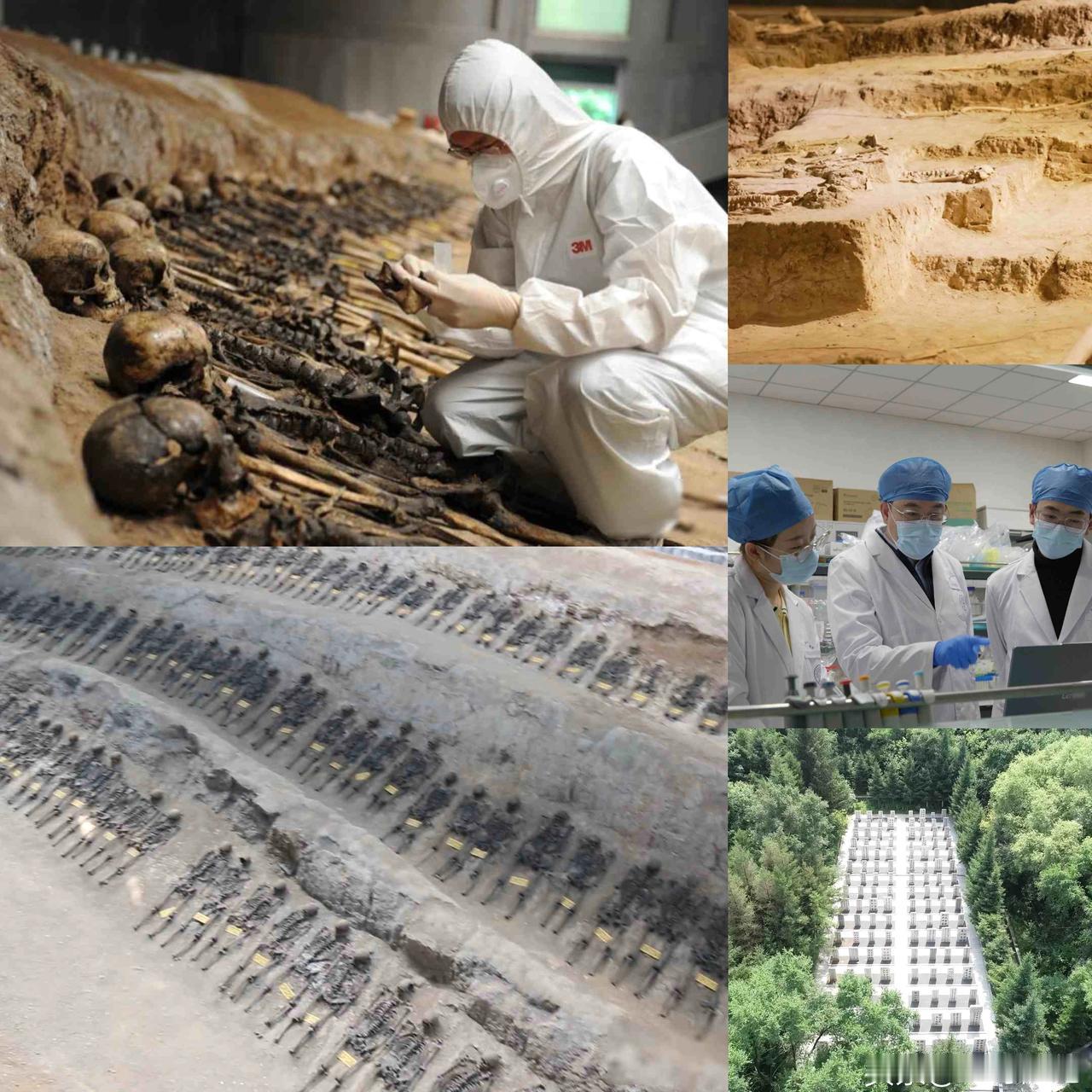 新华视，为了不应被遗忘的生命！一群90后博士整天钻在阴冷的墓室里，对着一