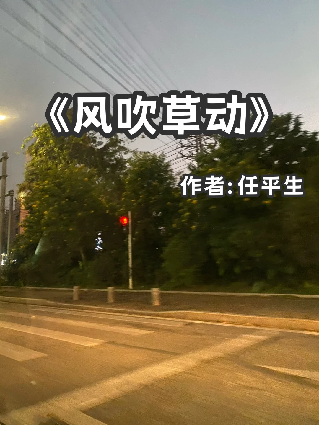 宅家小说｜先婚后爱《风吹草动》
