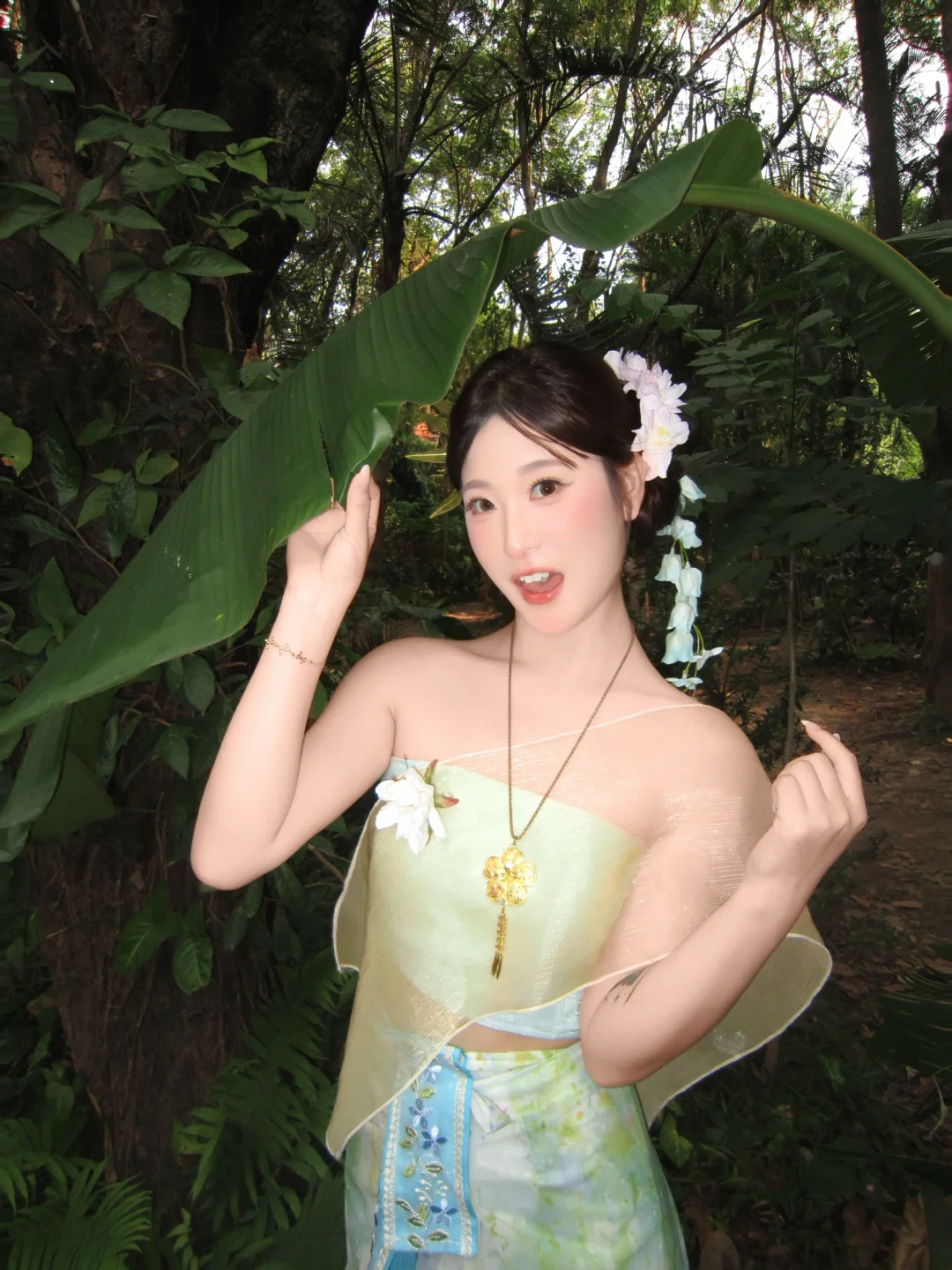 绿野仙踪🍃