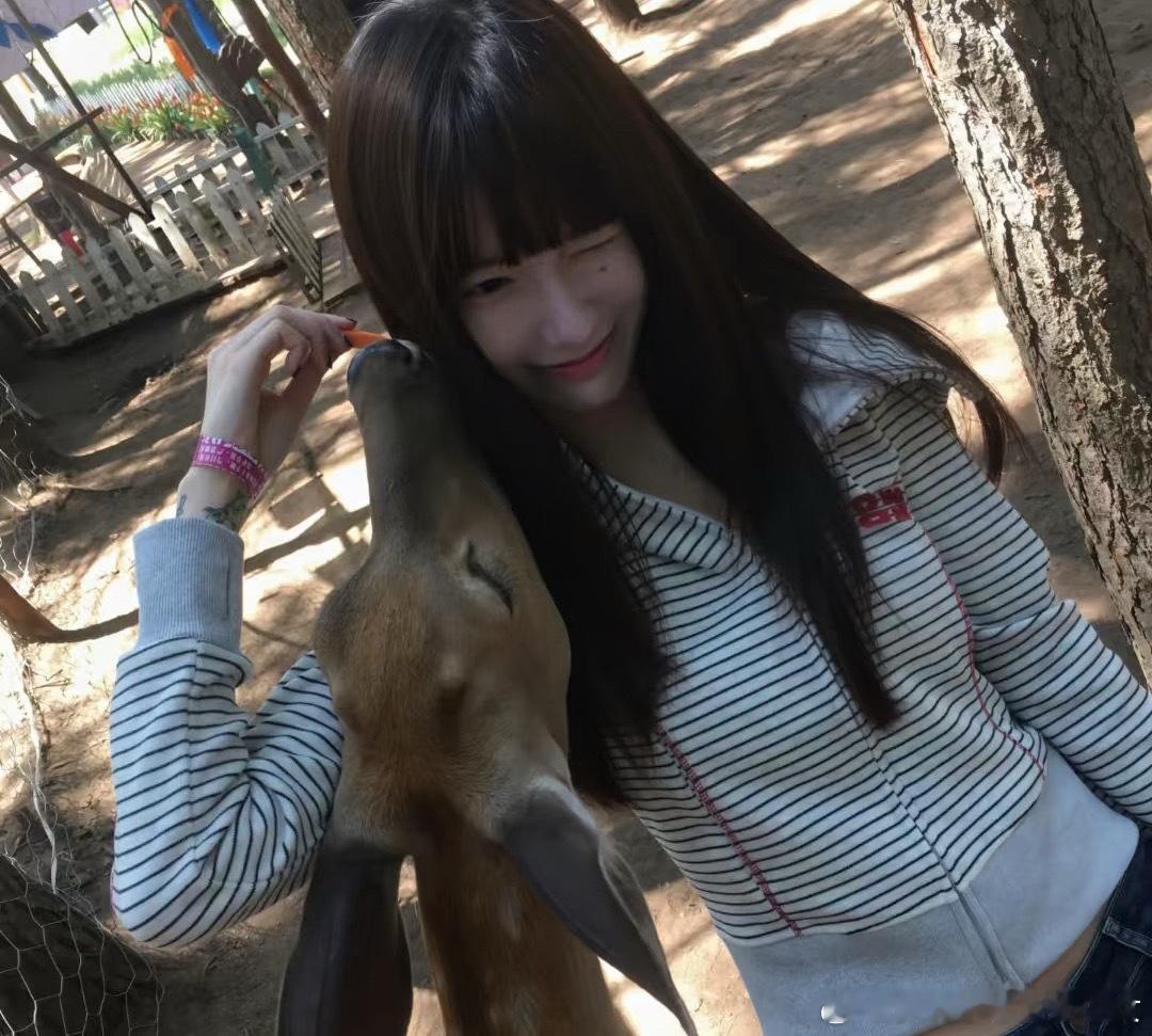 𝙒𝙚𝘾𝙝𝙖𝙩｜小众女头自用头像私藏头像高质量头像小众女头头像