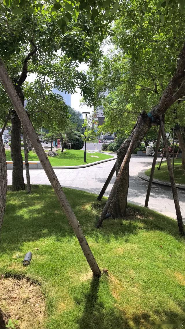 散户为什么总是亏钱？因为你连这5个交易铁律都不知道A股有个残酷的统计数据：过去1