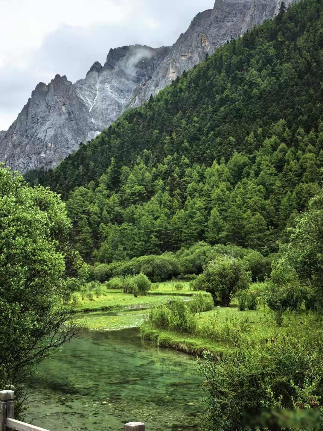 现在的脑梗是越来越年轻化了。我刚听说我亲戚上周三在公司开会时突然手脚发麻，说