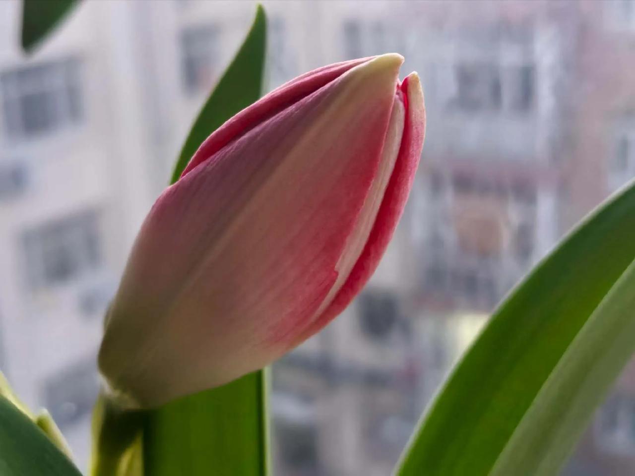 1996年我在病房做护士，那天一下看到初中同学行色匆匆进入普通外科病房。我傻了