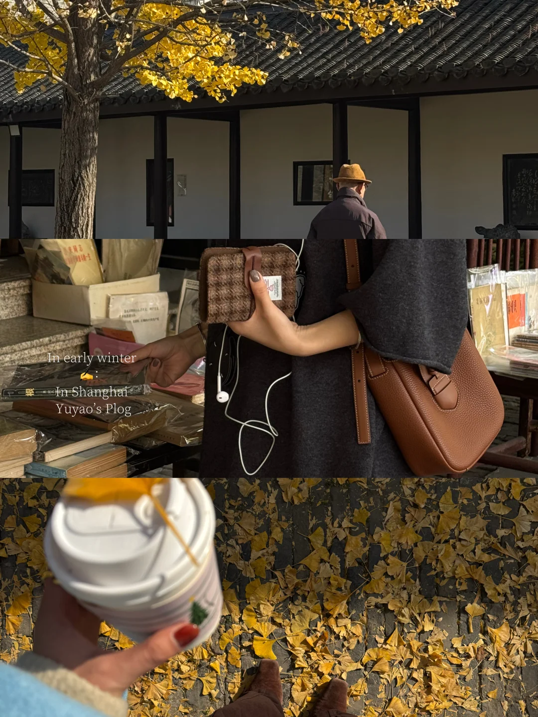 周末惬意小记：看银杏，藏在市井小店晒太阳☕️