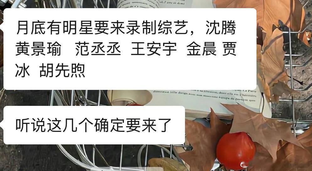 现在就出发综艺要上岛啦！11月底上岛录综艺，已经狠狠期待住了现在就出发‖