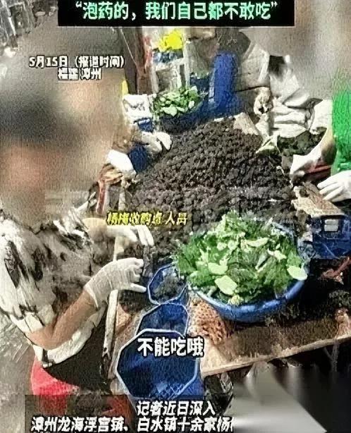 漳州杨梅这事真的太亏了你敢信少数人的小聪明，直接砸了整个城市攒了几十年的