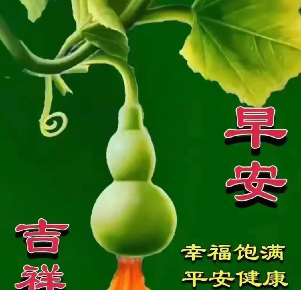 别再光盯着女明星那几张“冻龄”脸瞎羡慕了，真以为全靠医美往脸上砸钱？圈内最近流