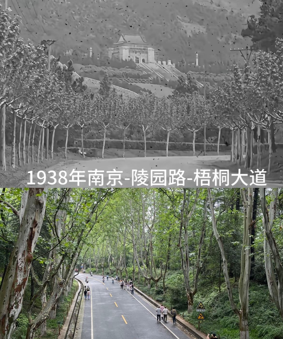 前人栽树，后人乘凉具象化了。
