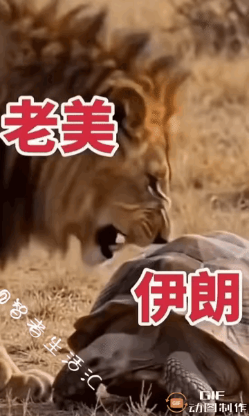 太形象了，就是这个味儿，简直入木三分啊