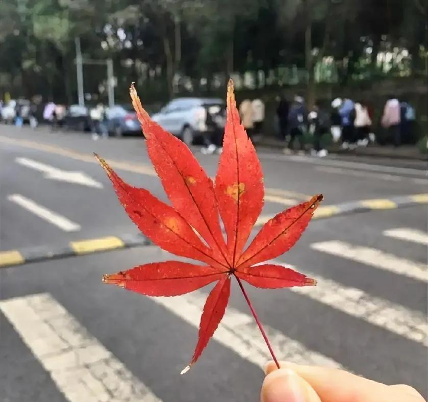 一段非常通透的话：“世界上最愚蠢的事情就是，舍不得吃，舍不得穿，舍不得用，说好