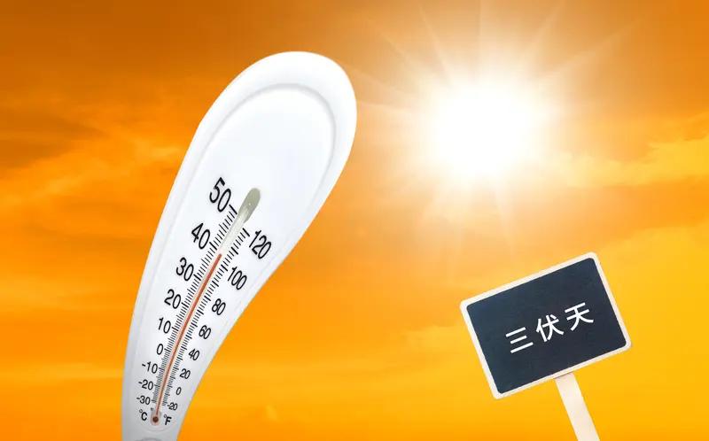 在一个家庭里，最好的教育是“三多、三少、三不要”。多担当，父母是孩子的终身老师