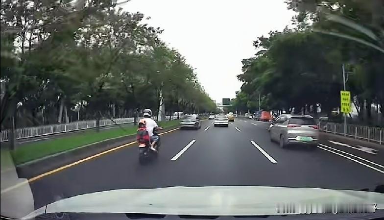 广州海珠区的新滘西路，也随处可见在道路中间横行的电鸡。从车辆行车记录仪拍的画面来