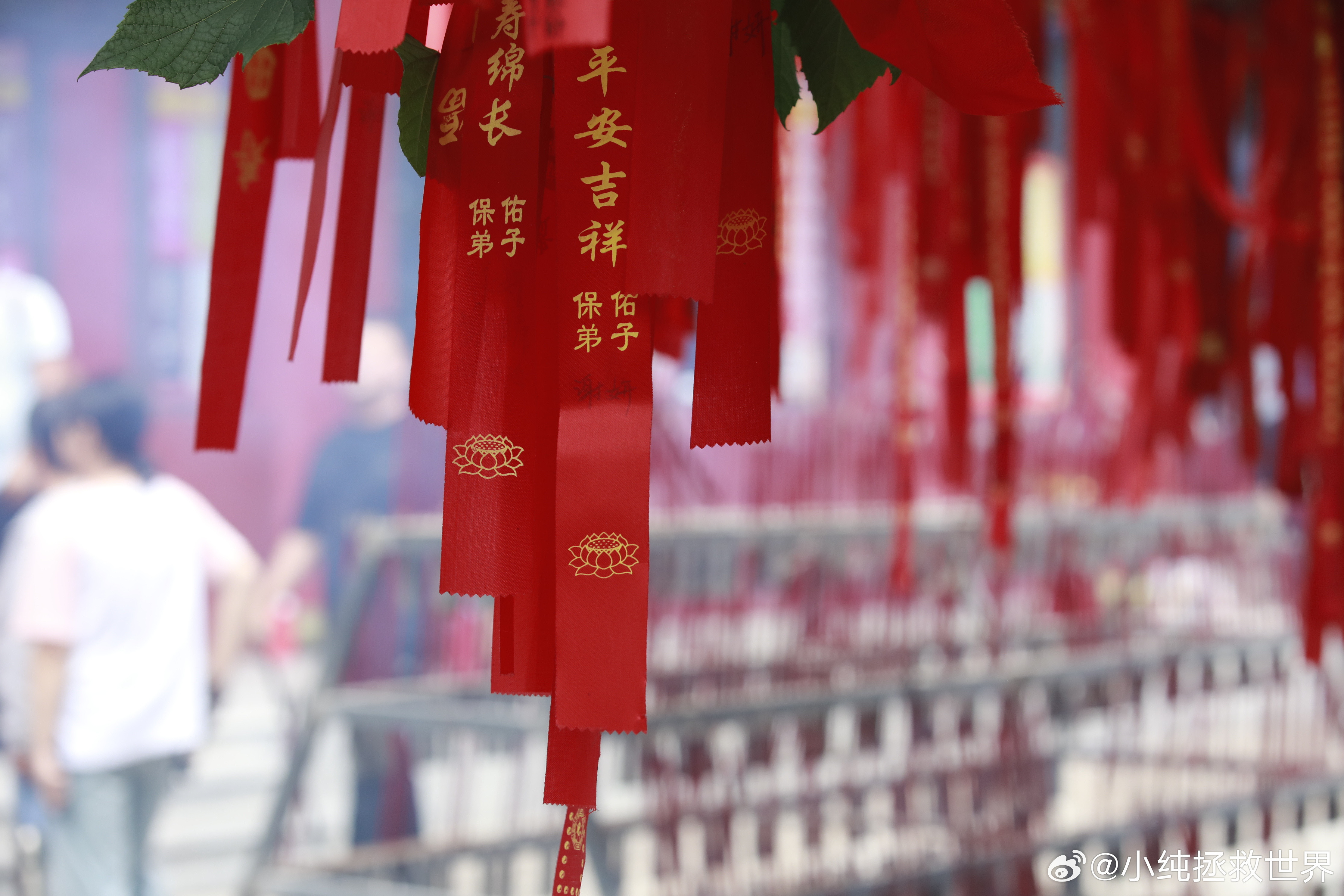 东北的春天从不缺美景，而辽宁铁刹山的春天更是格外惊艳，是登高祈福的不二之选。春日