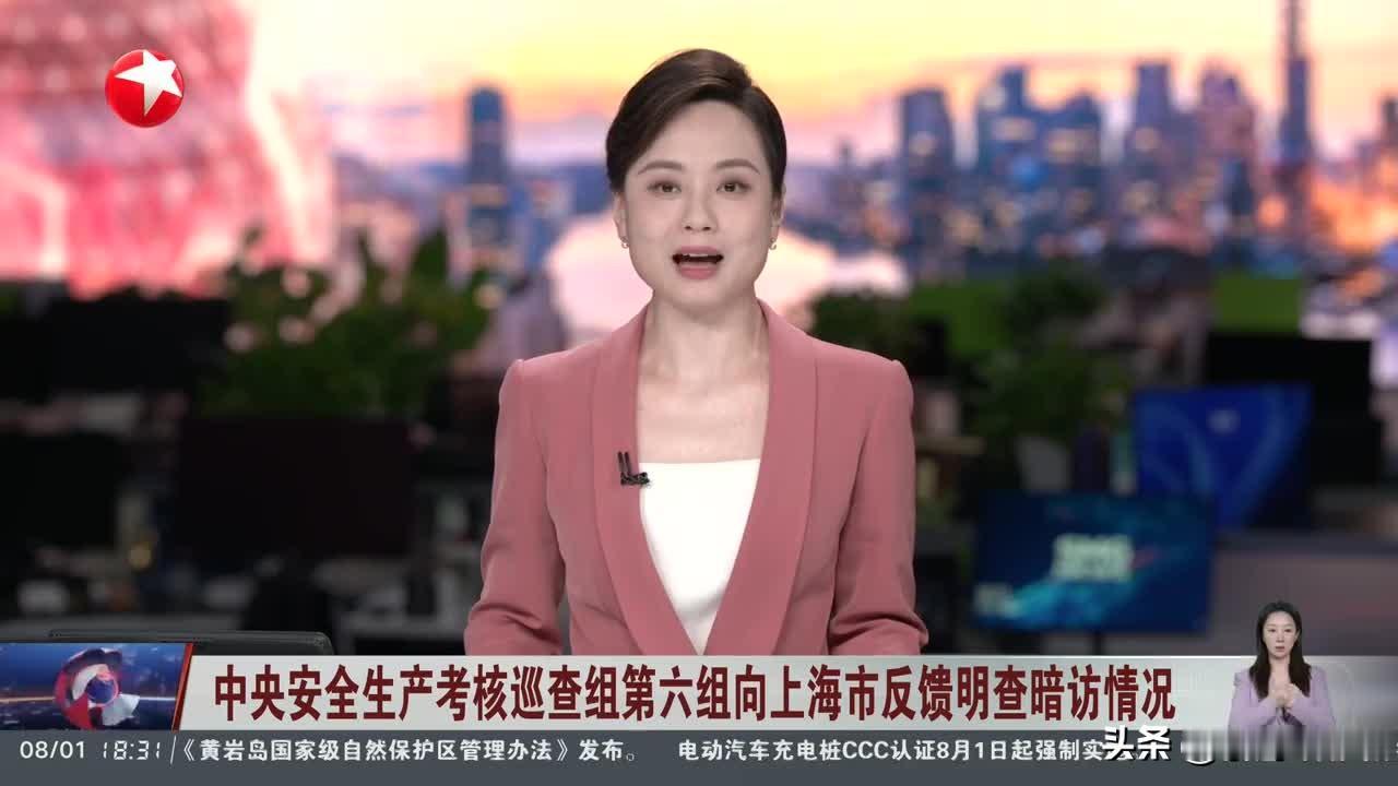 中央巡查组杀进上海物流园：老板电话教司机“绕一圈再进来”！·央视《应急时刻》