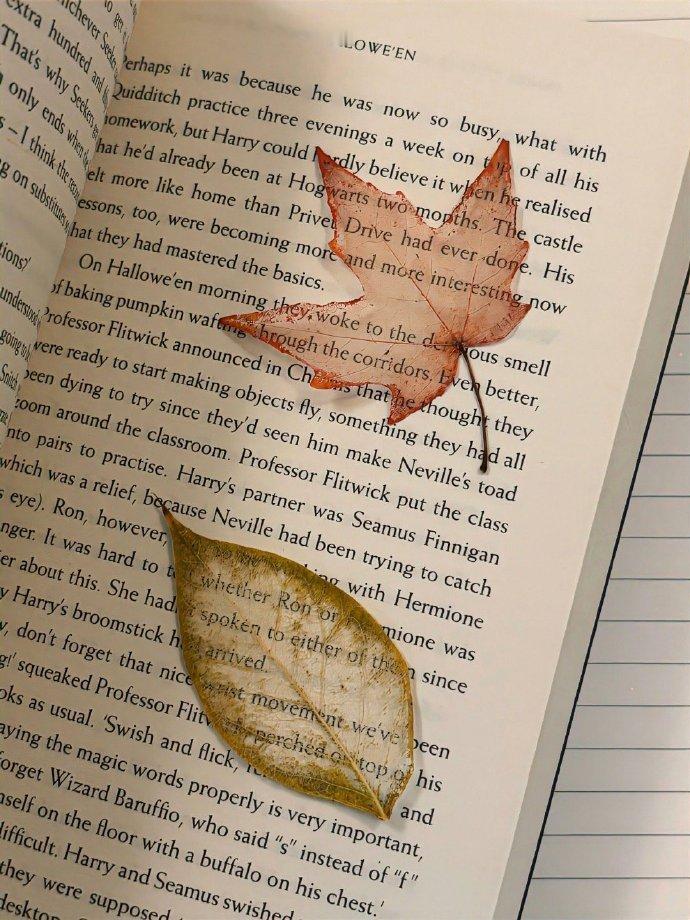 每片落叶都有它的故事，记录着，春夏秋冬的更迭。​​​