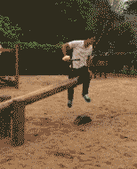 搞笑GIF: 老板有人来砸场子了, 是个女的, 砸完场子甚至还卖萌