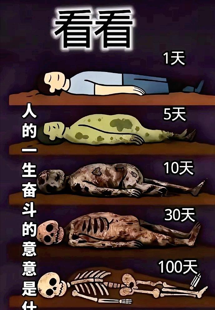 刷到个热搜，说人埋土里一百天到底会变成啥样。点进去一看，原来是一群网友先提问，