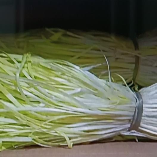 很多人不知道，有些常见蔬菜有“洗肠草”的外号，常吃能排体内垃圾。像韭黄，就是冬季