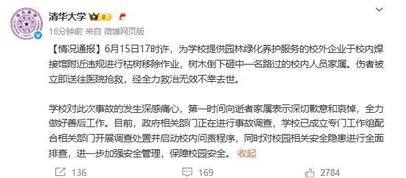 死得太冤了北京语言大学教师张爱玲真是死得太冤了，竟然是在清华大学校园内被树木砸