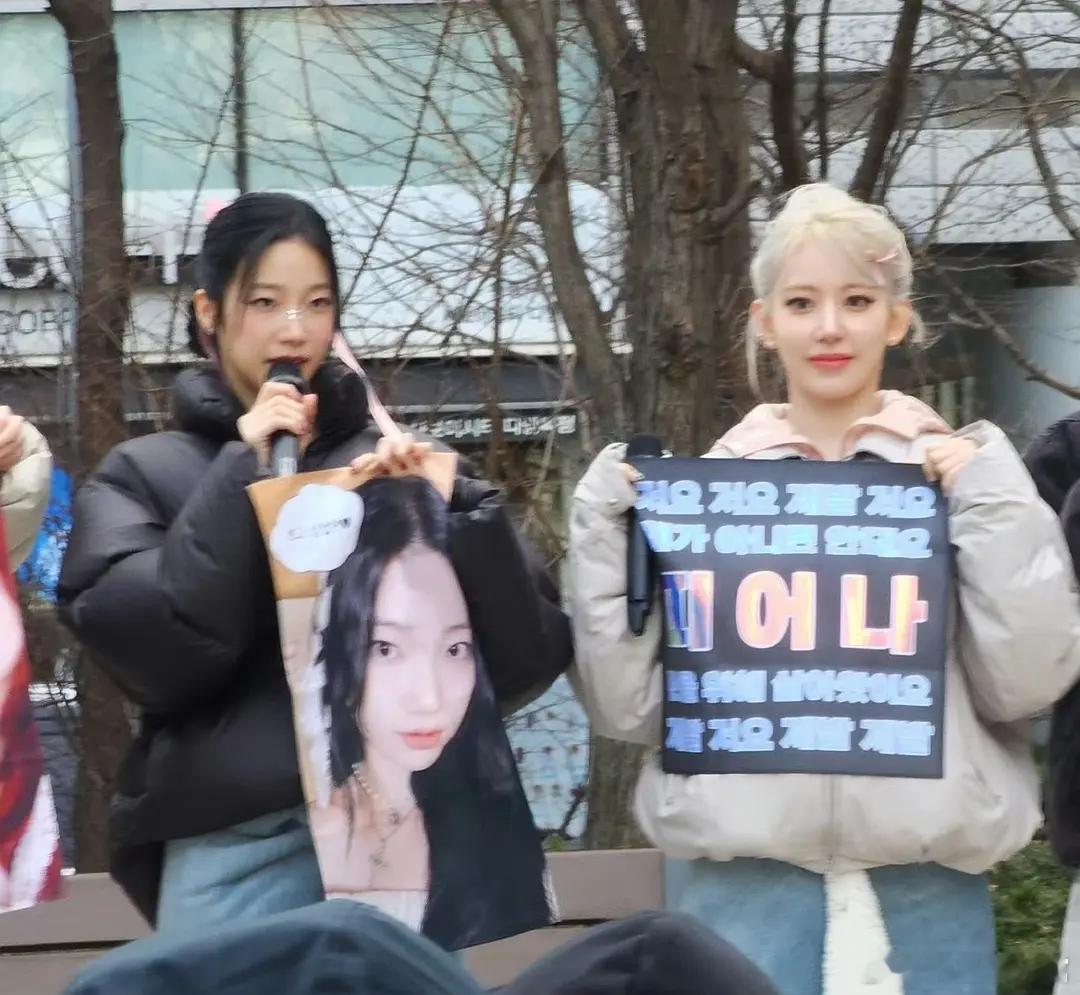 淡颜碰上浓颜，怎么总输啊