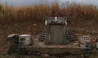 湖北的一个男子常年以捕蛇为生，一辈子杀蛇无数，意外去世之后，他的墓穴里，竟出现了