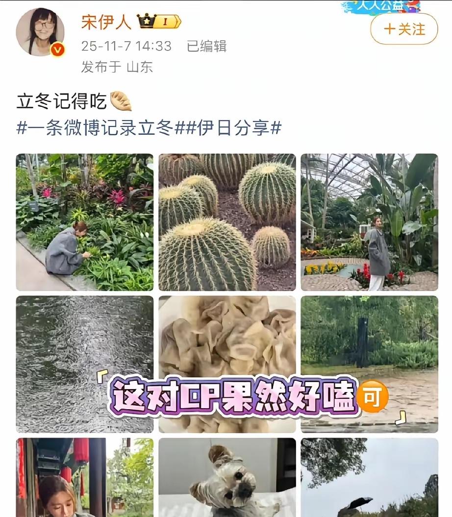 是巧合吗？眼尖的网友们发现宋伊人和范世琦在立冬这天，同一时间里分毫不差的在微博发