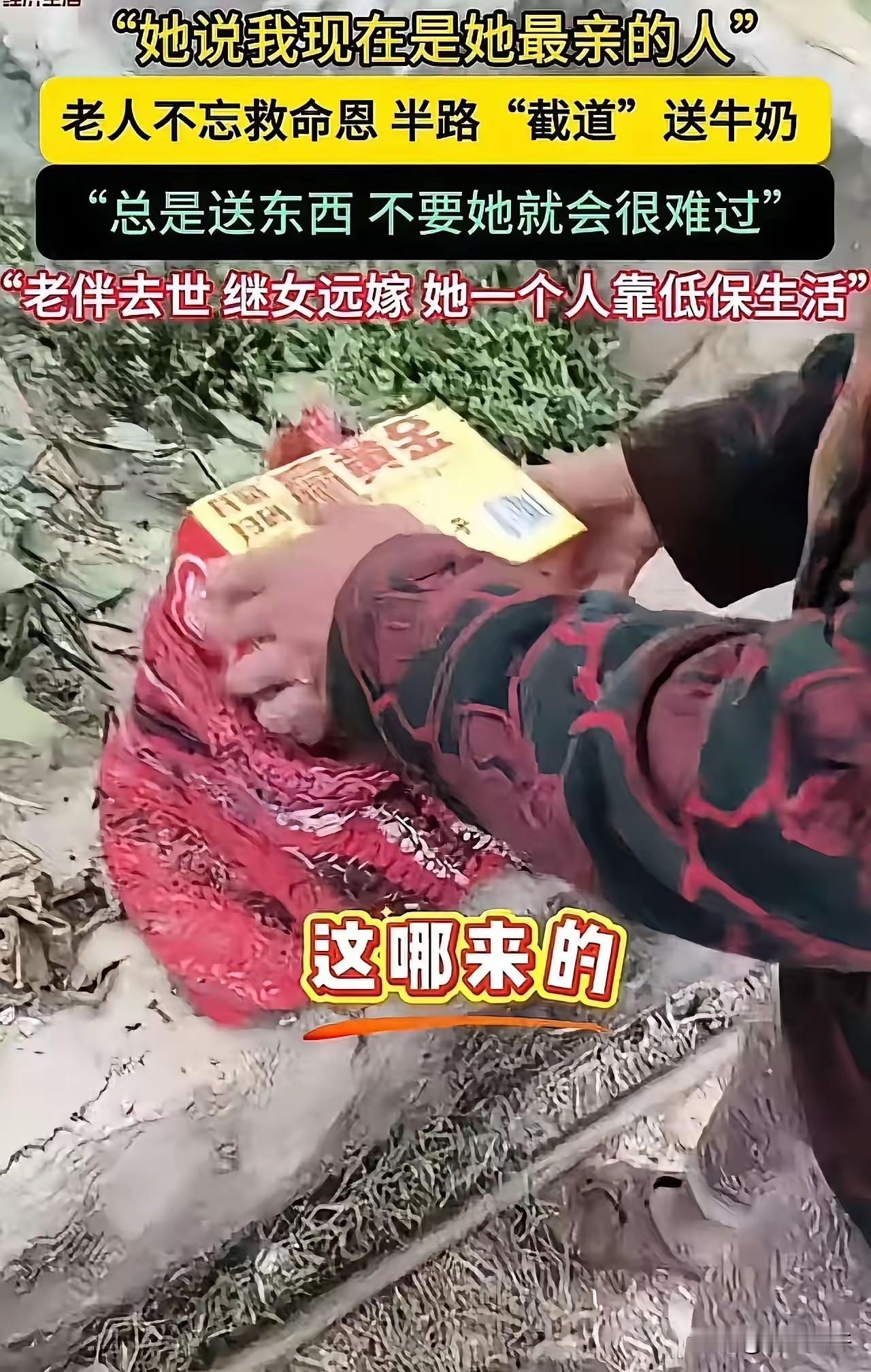 泪目！老伴去世，继女远嫁，老人一个人靠低保生活，却从农用三轮车上摔下，没钱治疗，