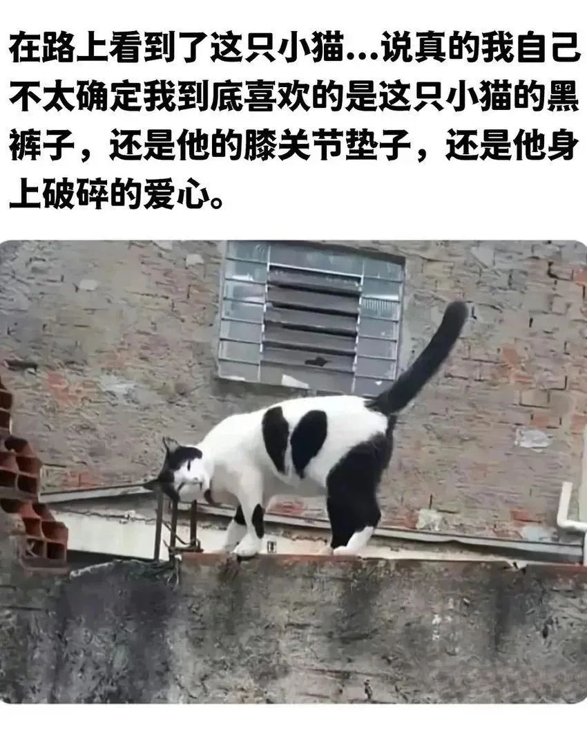 也有可能是这鬼迷日眼的头盔