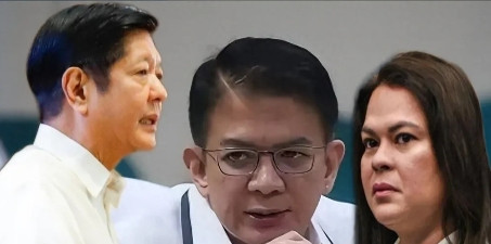 非常精明，菲律宾议长埃斯库德罗与莎拉关系其实一般，甚至在一年前还是剑拔弩张，埃