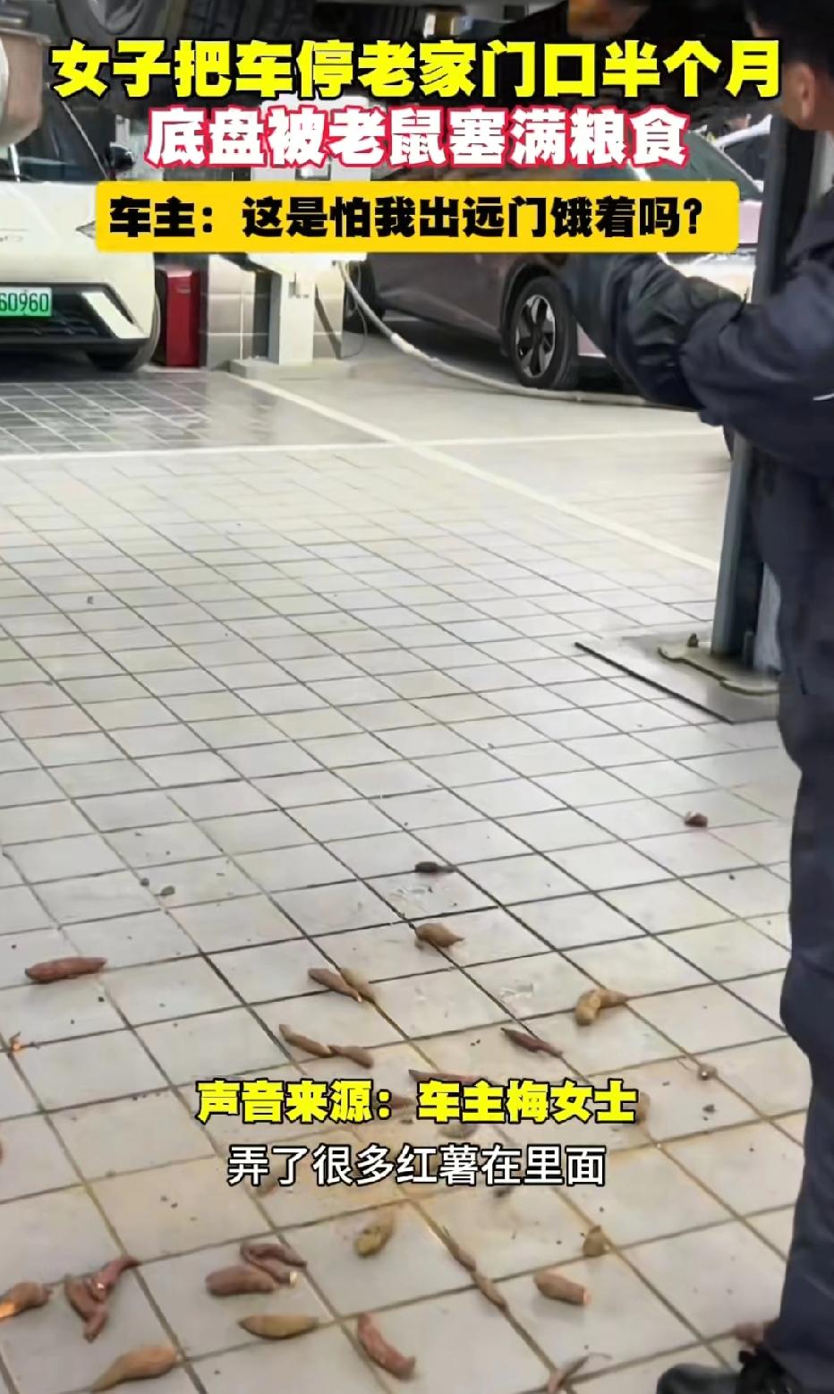 广西贵港，女子把车停在老家半个月，等她用车时，发现车底突然传来一阵奇怪异响。她慌