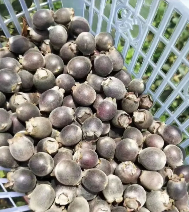 求问这道美食来自哪里？叫什么呀，好想吃