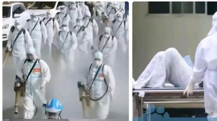 印度的尼帕病毒整不好，就可能导致全球的毁灭性的灾难。现在情况不容乐观，这个传染率