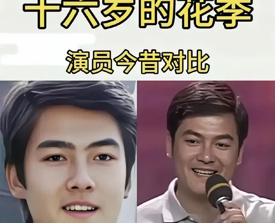 一晃三十多年过去了演员们老了观众也老了当年看这个剧的时候感觉陈菲儿最