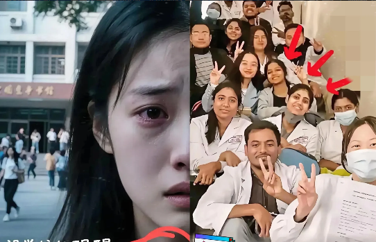 1个留学生配3个学伴？这锅，制度不背。英美高校早把学伴当标配，但只干两件事：
