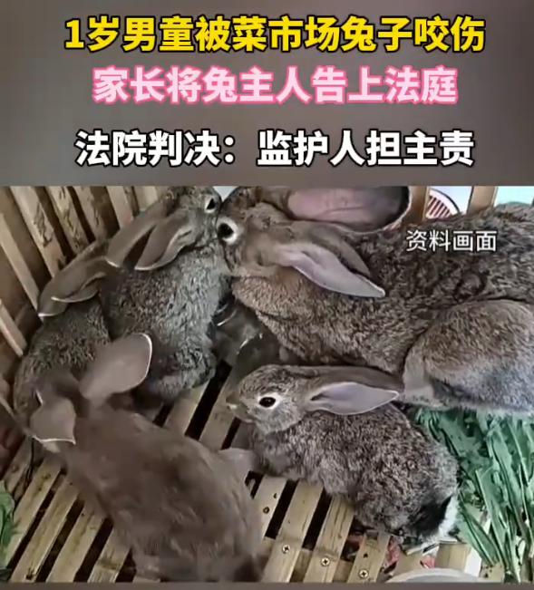 太揪心了！浙江瑞安，一名1岁宝宝在菜市场的肉店门口，用手指逗笼子里的兔子，直接被