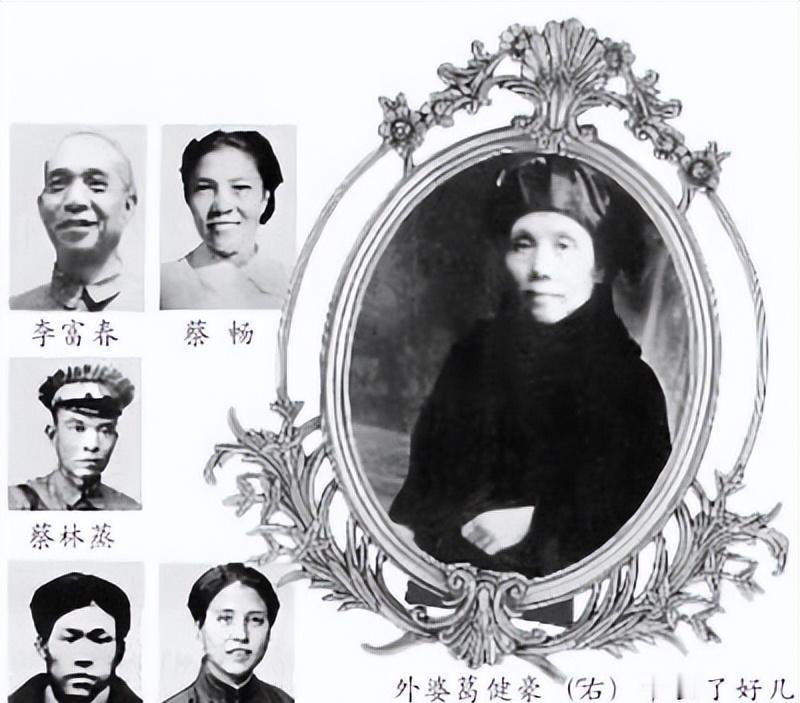 因父母之命，她嫁给了败家丈夫。丈夫蔡蓉峰整天抱着烟枪，家里的几百担祖产被他败