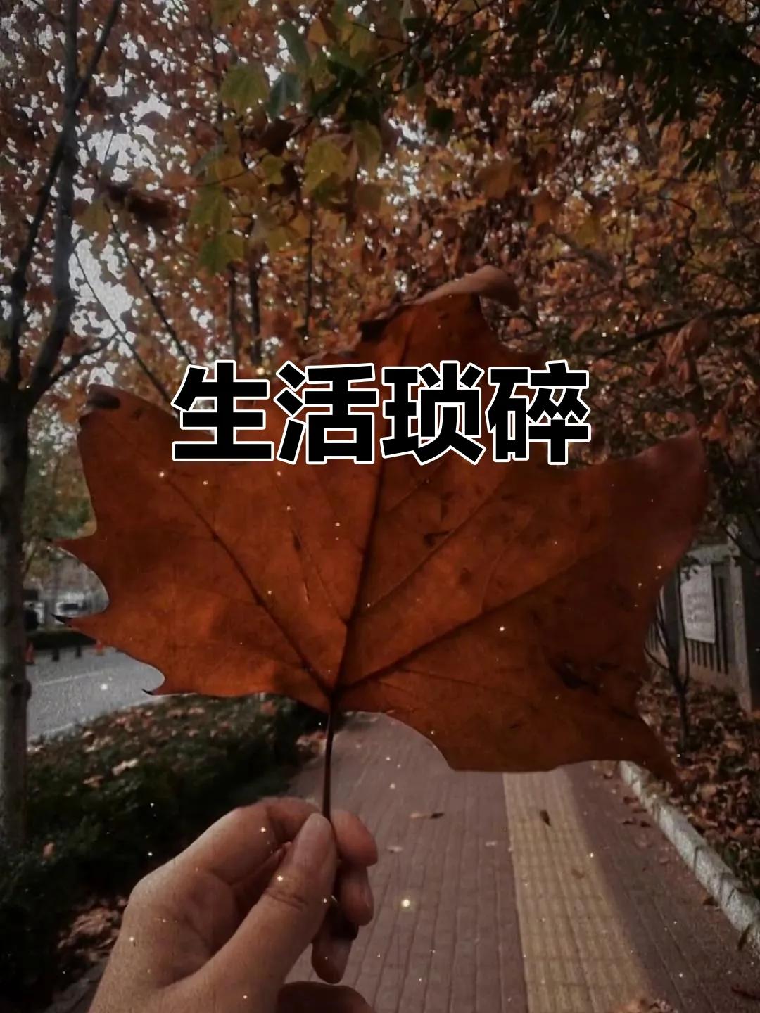 和弟弟大吵了一架，原因是我觉得他心里没我这个姐姐，对待外人比我都好，我比弟弟大八