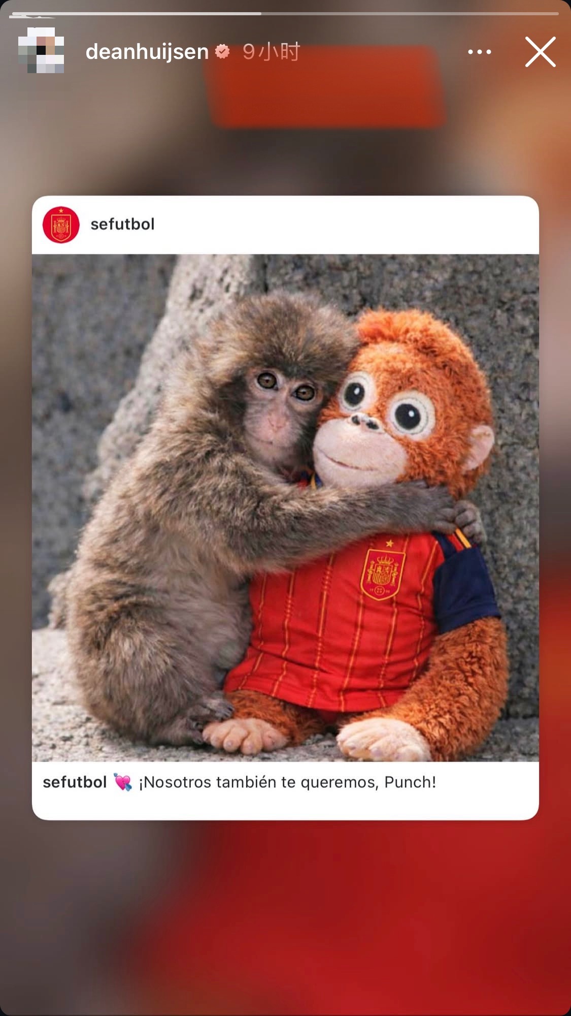 哇真的又傻又茶