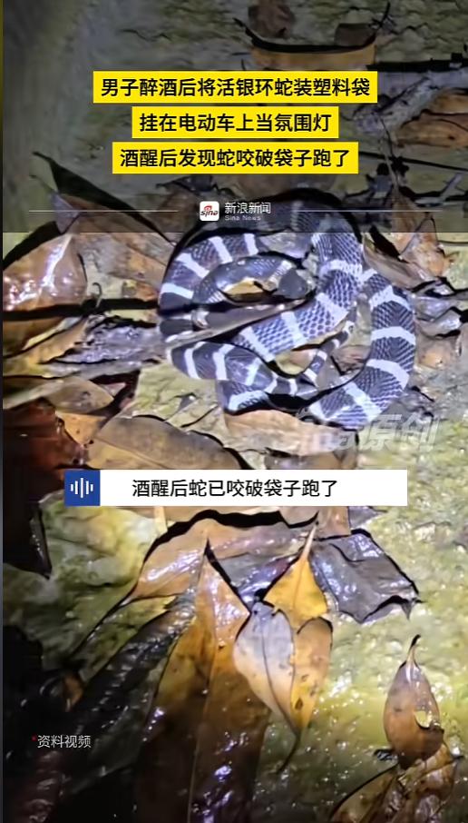 “真是个狠人！”6月9日报道，广西，一男子喝醉了酒，竟然找了个红色塑料袋，不知道