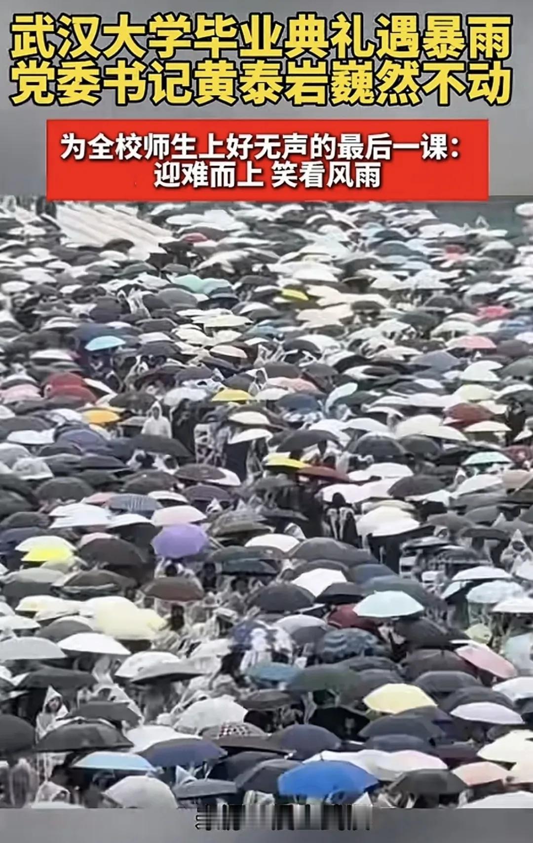 三所大学的毕业典礼。武汉大学毕业典礼，在风雨中进行，院士专家无一人打伞，报道说