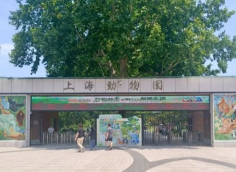 “有必要吗？”近日上海，茅先生逛动物园时，孩子突然饿了。可他刚拿出奶瓶，孩子还没