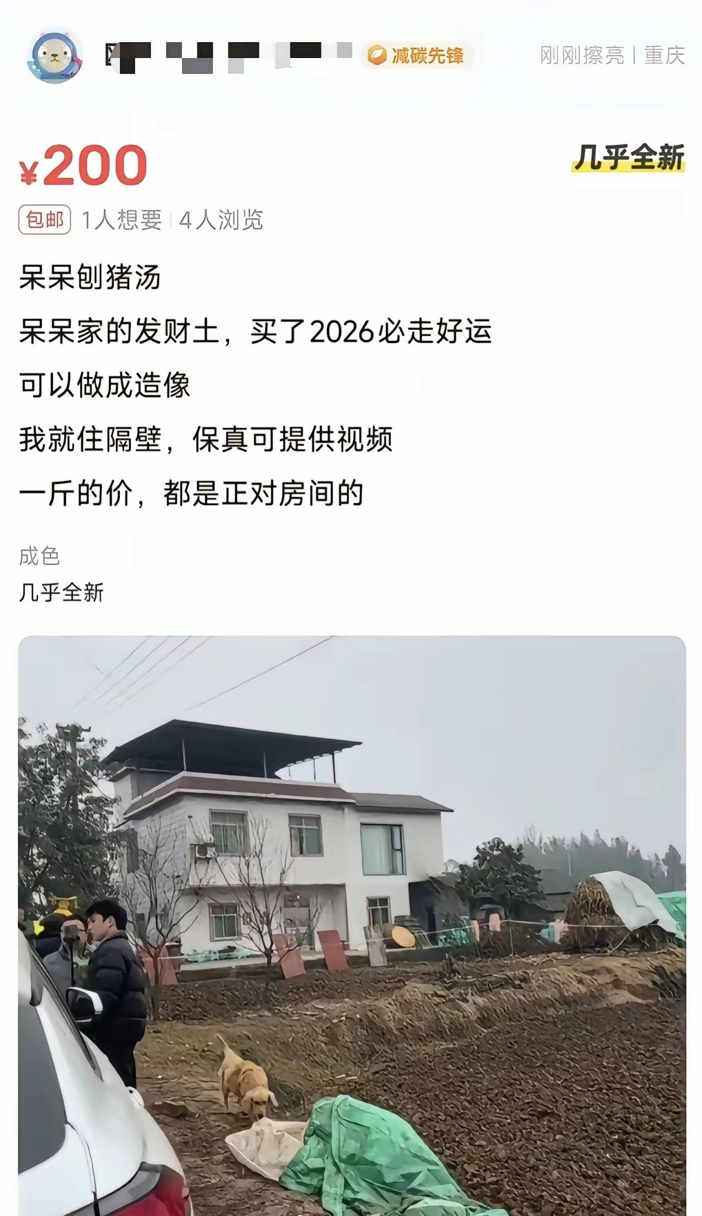 疯了，有人挖呆呆家门口的土当成发财土在网上卖
