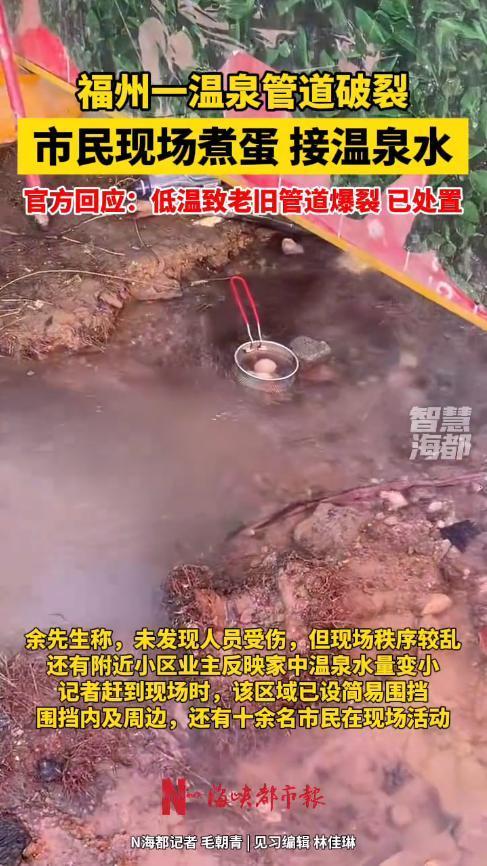 “白嫖上瘾了！”11月30日，福建福州，一小区附近的温水管道，因天气突然降温发生