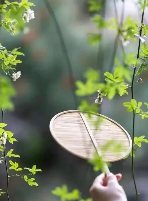 爱生活的小不点说：修行不是让你什么都顺，而是让你知道为什么不顺；修行不是等待菩萨